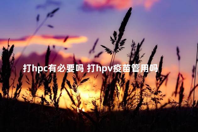 打hpc有必要吗 打hpv疫苗管用吗